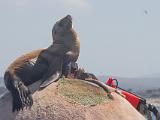 Monterey Bay 004